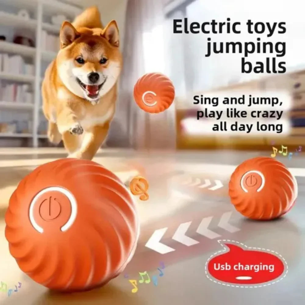 Bola Automática Giratória para Gatos — USB