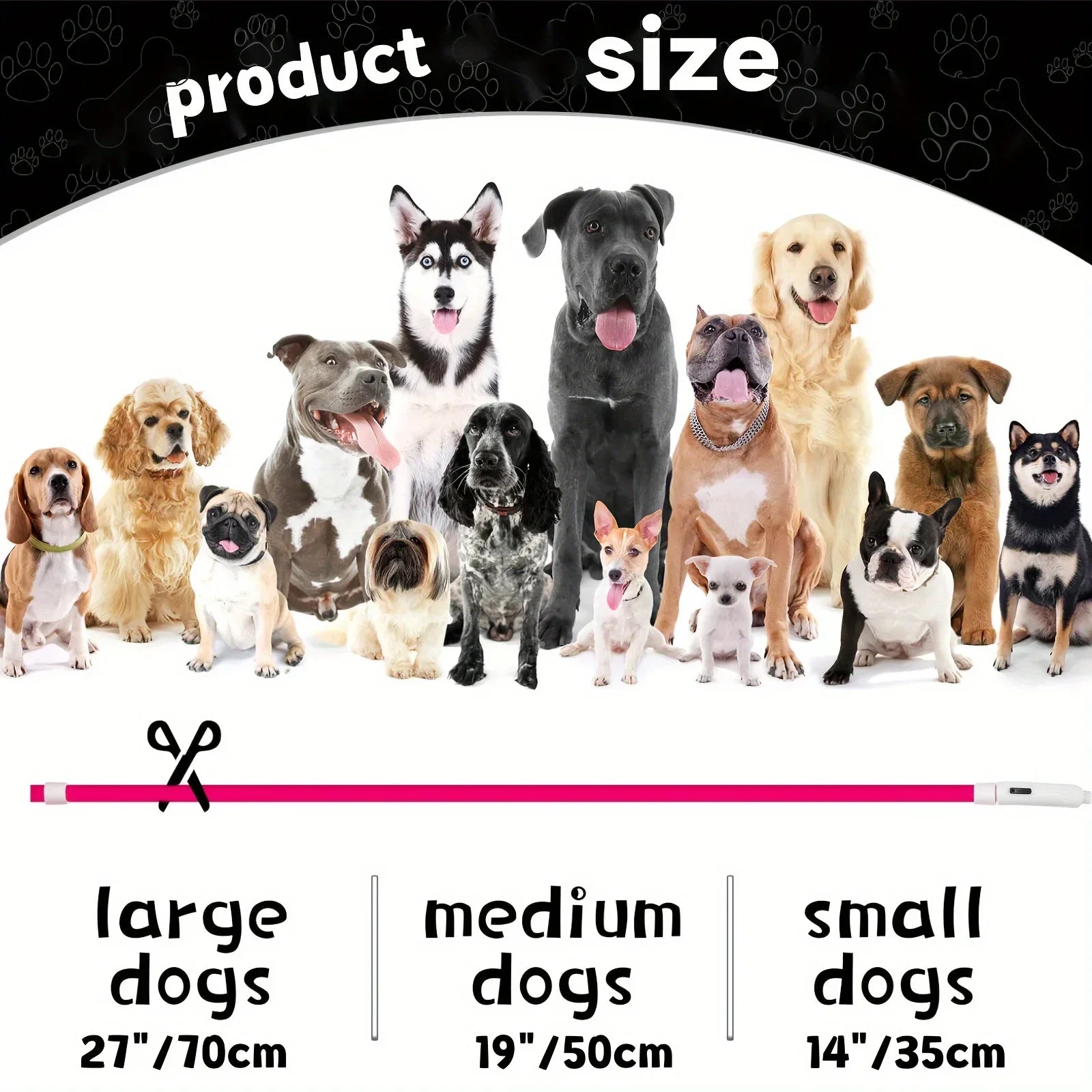 Coleira LED para Cães — USB Recarregável e Refletiva