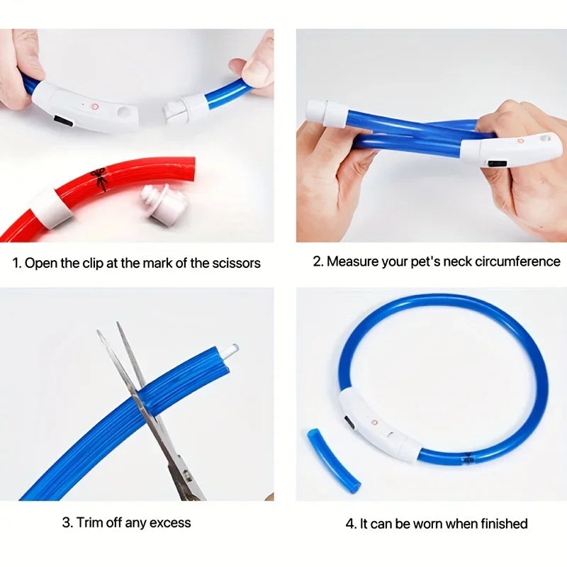 Coleira LED para Cães — USB Recarregável e Refletiva