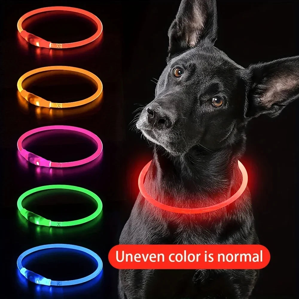 Coleira LED para Cães — USB Recarregável e Refletiva