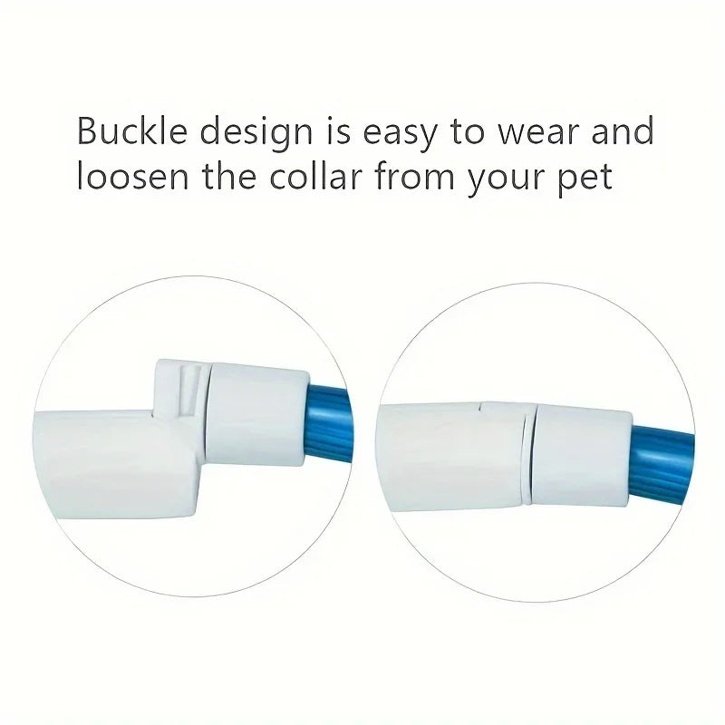 Coleira LED para Cães — USB Recarregável e Refletiva