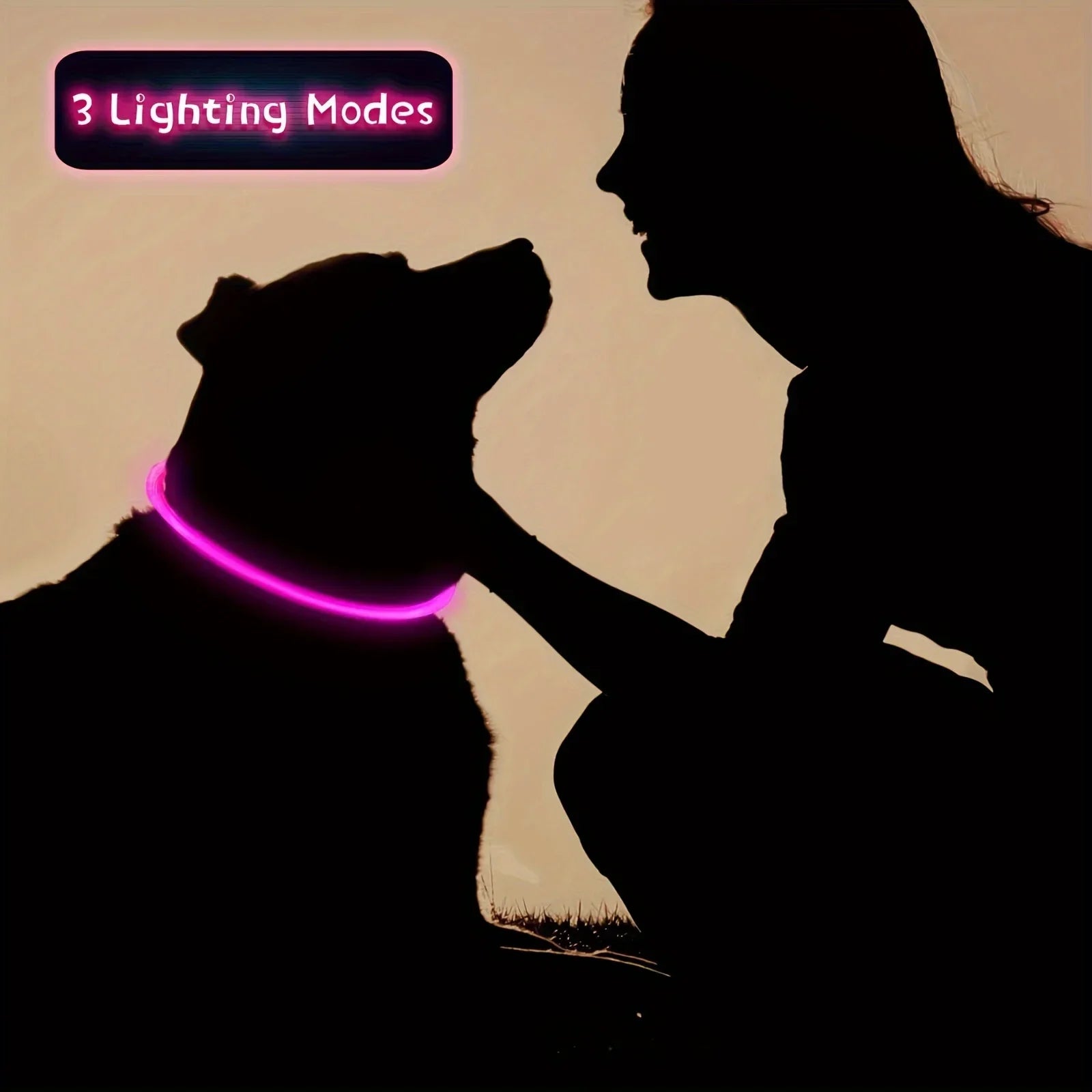 Coleira LED para Cães — USB Recarregável e Refletiva