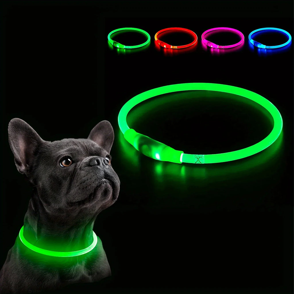 Coleira LED para Cães — USB Recarregável e Refletiva