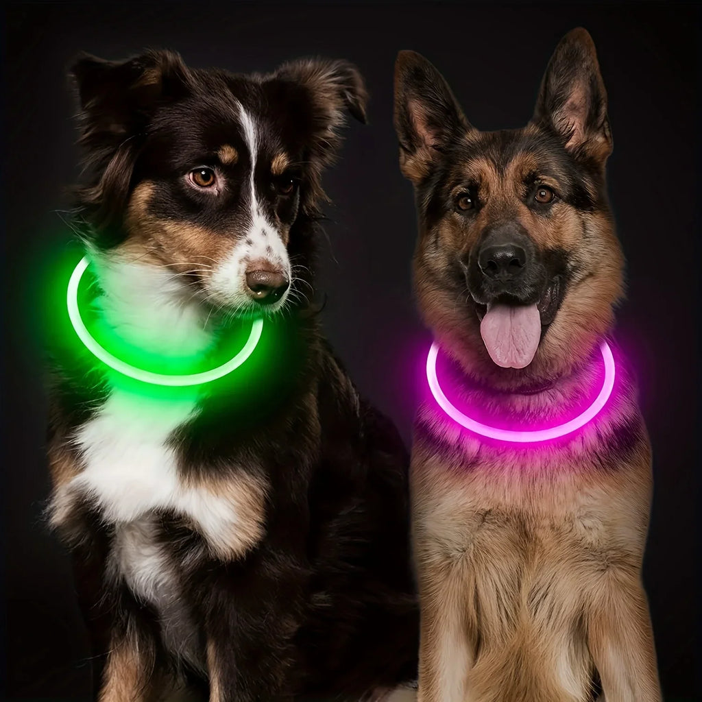 Coleira LED para Cães — USB Recarregável e Refletiva