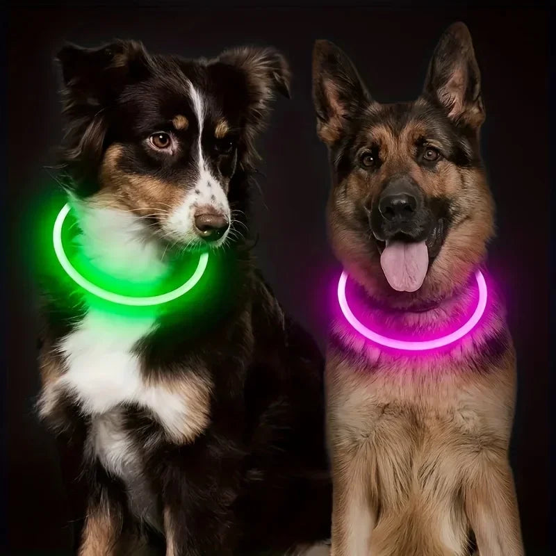 Coleira LED para Cães — USB Recarregável e Refletiva