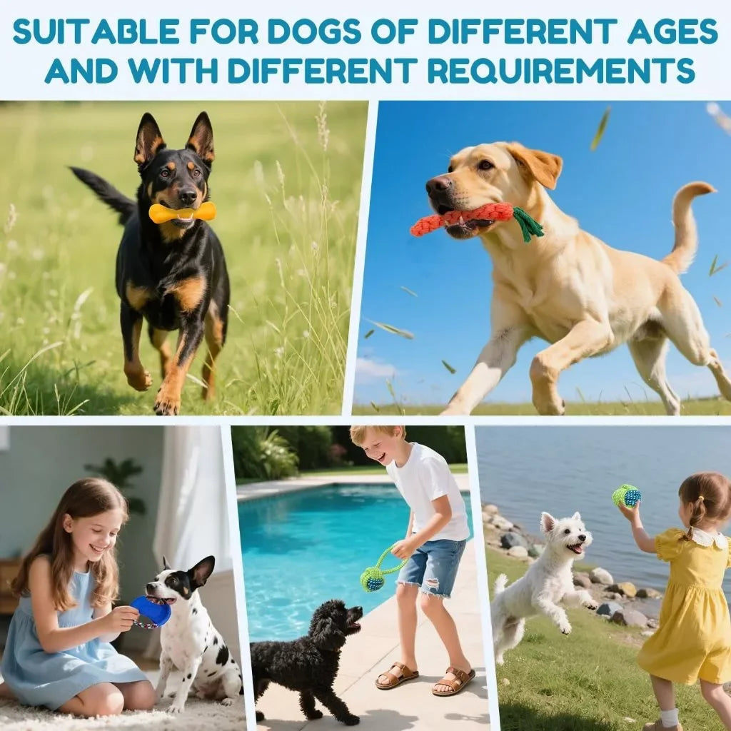 Kit 10 Brinquedos Anti-Estresse para Cachorro