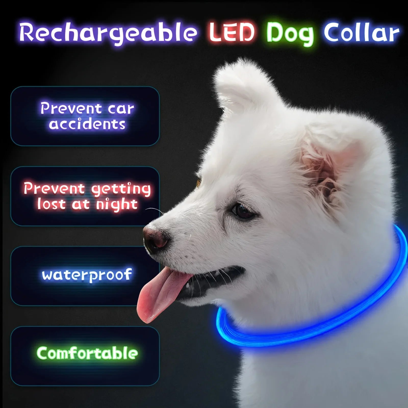 Coleira LED para Cães — USB Recarregável e Refletiva