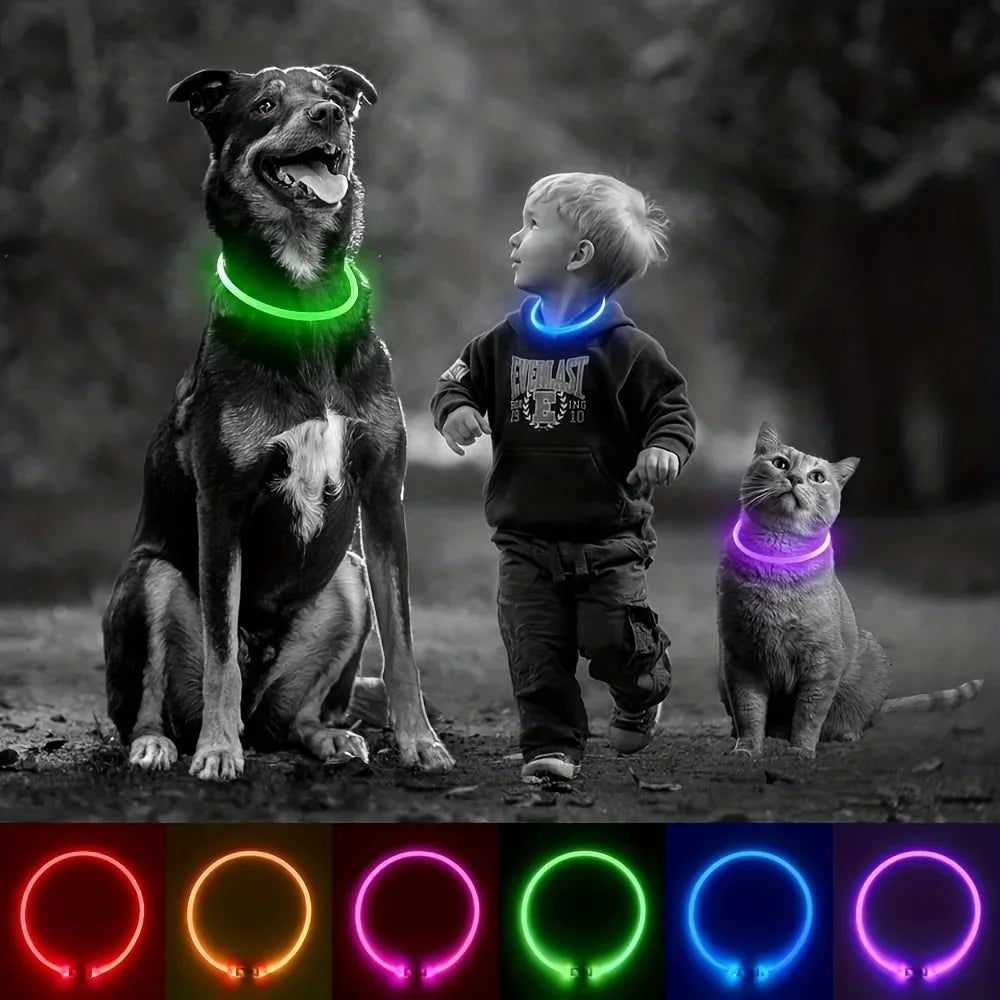 Coleira LED para Cães — USB Recarregável e Refletiva