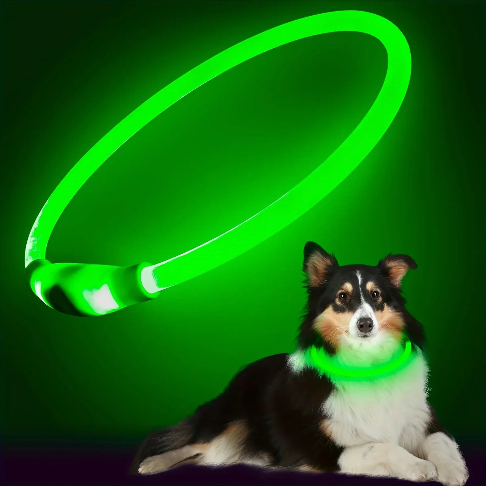 Coleira LED para Cães — USB Recarregável e Refletiva