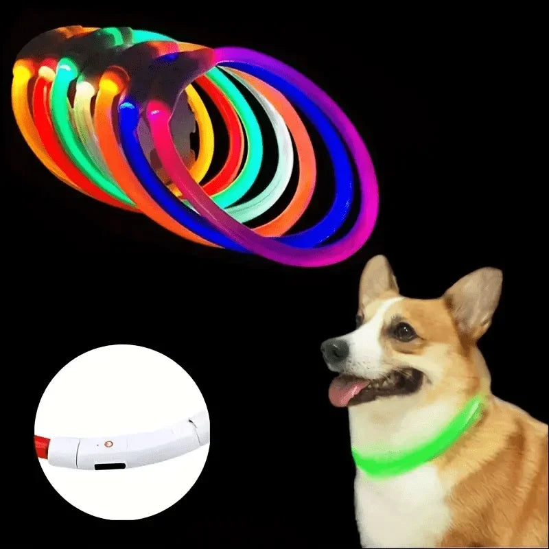 Coleira LED para Cães — USB Recarregável e Refletiva