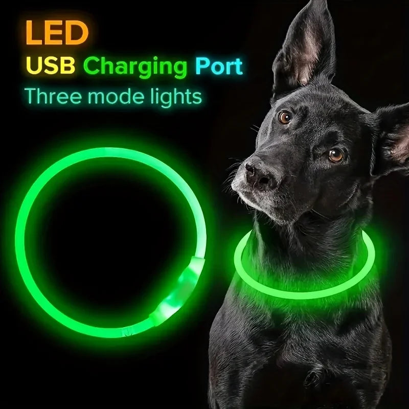 Coleira LED para Cães — USB Recarregável e Refletiva