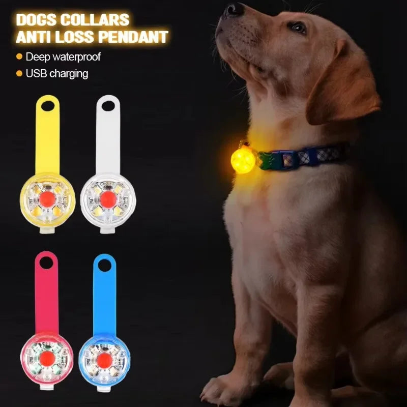 Coleira LED para Pets — Recarregável e Resistente à Água