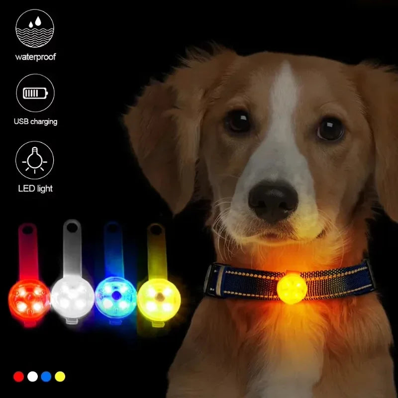 Coleira LED para Pets — Recarregável e Resistente à Água