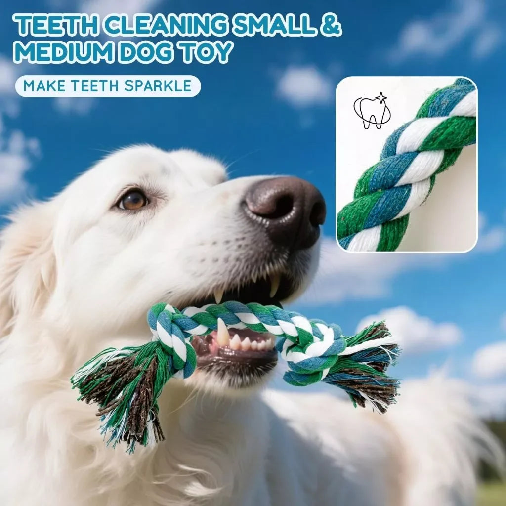 Kit 10 Brinquedos Anti-Estresse para Cachorro