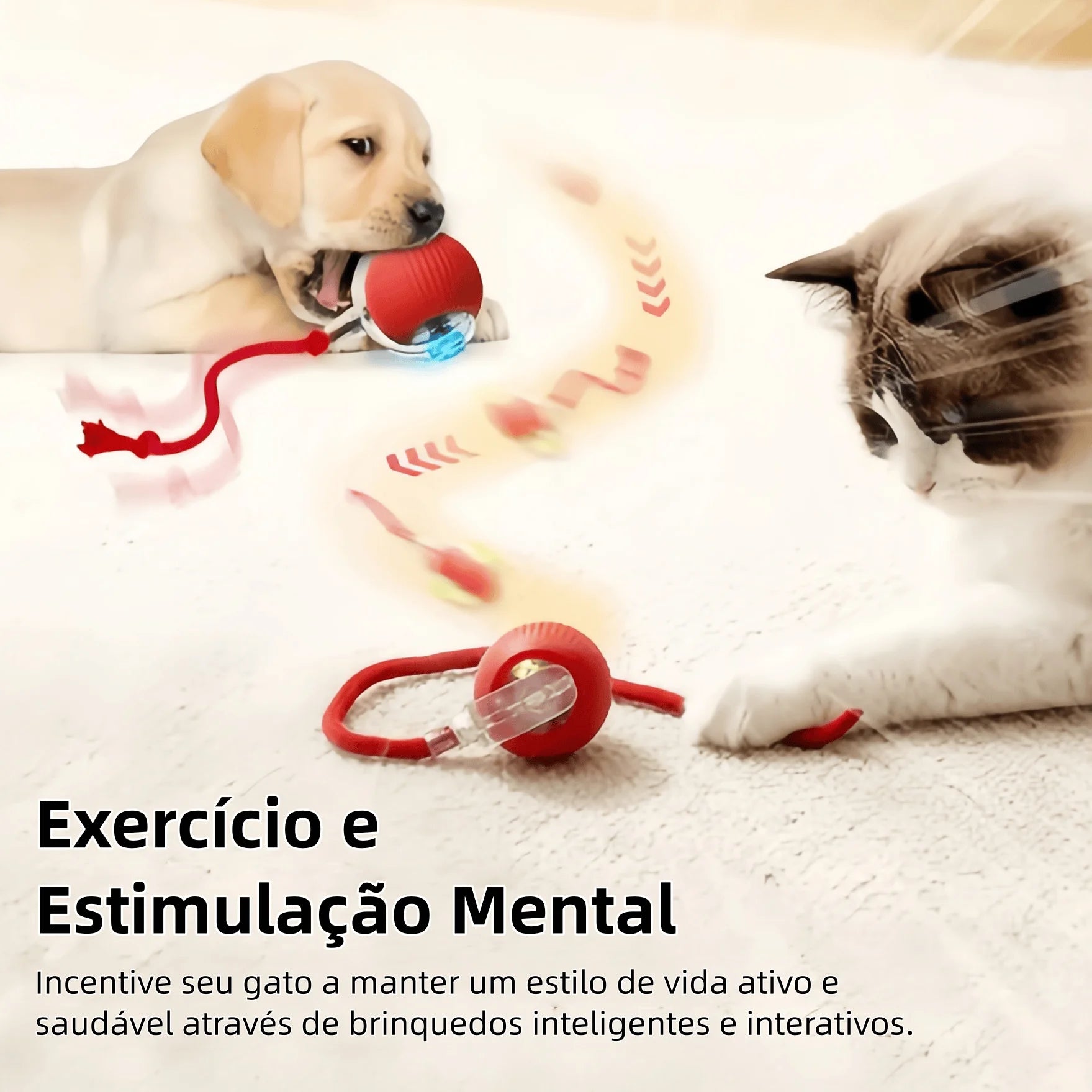 Bola Elétrica Interativa para Gatos e Cães