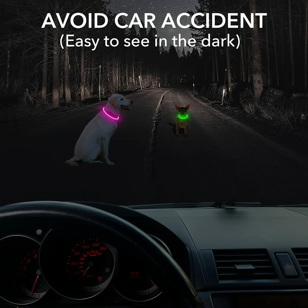 Coleira LED para Cães — USB Recarregável e Refletiva