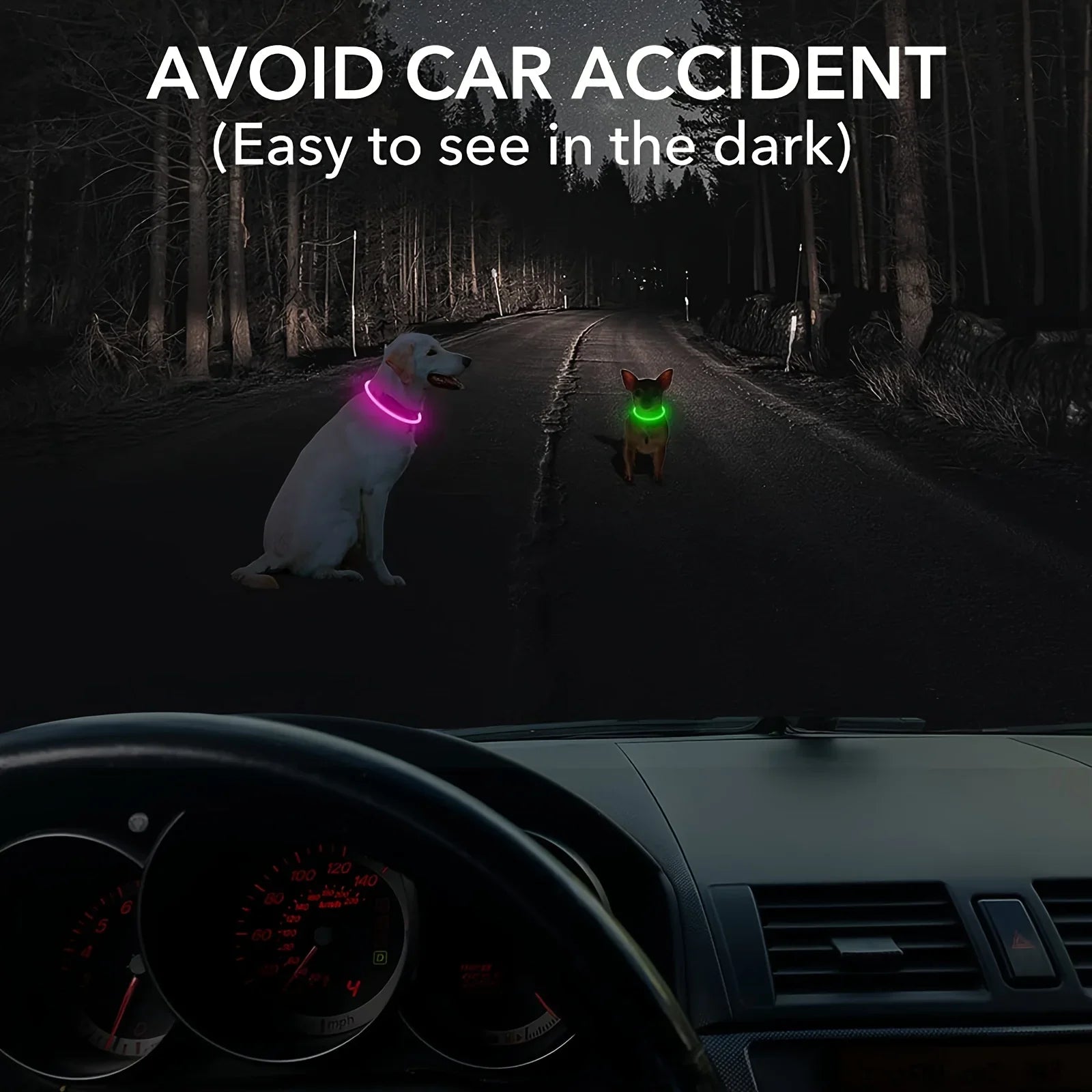 Coleira LED para Cães — USB Recarregável e Refletiva